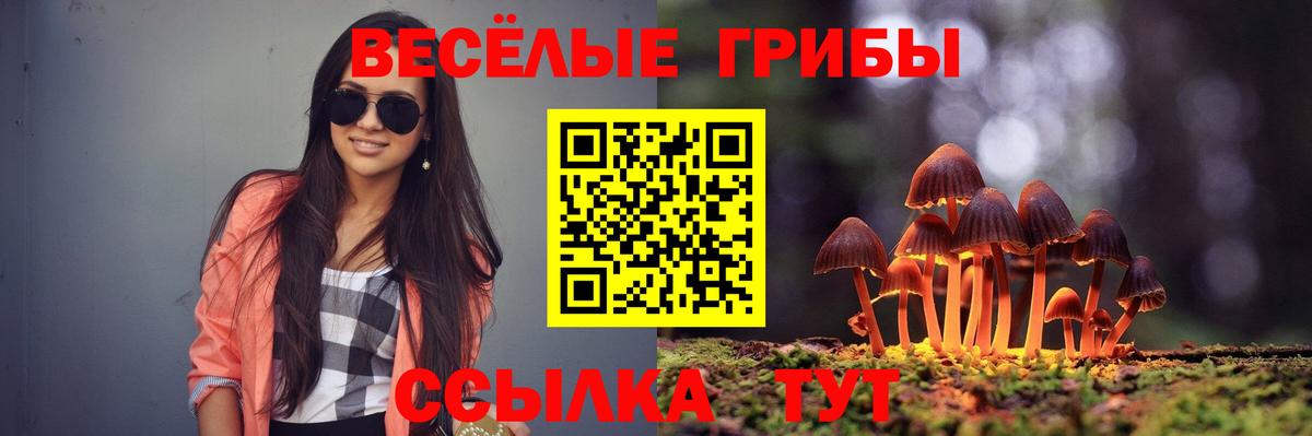 Новодвинск  Псилоцибиновые грибы мицелий  Вход с VPN 